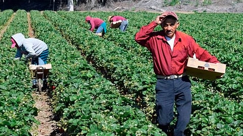 Huergo Maurin explicó que estos recursos serán utilizados para proyectos que definen los propios actores del campo en Senguio (Foto: Cortesía)