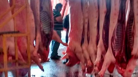 Los olores que despide incomodan a los habitantes (Foto: Cortesía)