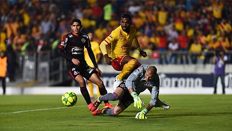 (Foto: ACG)