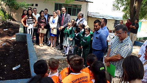En la primaria designaron un espacio para compostaje