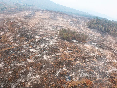 Video: Cofom “atada de manos” para actuar contra responsables de incendios forestales