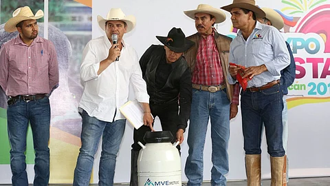 El presidente de la Asociación Mexicana de Criadores de Cebú fue el encargado de entregar a las autoridades estatales las unidades de semen (Foto cortesía)