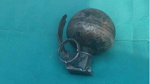 Fue asegurada en la localidad Santa Elena (Foto cortesía)