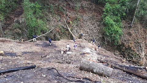 El predio de los hechos se encontraba recién incendiado (Foto: Cortesía)