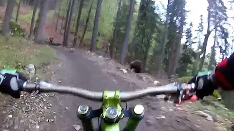 Video: Dos ciclistas se encuentran con un oso en un camino forestal