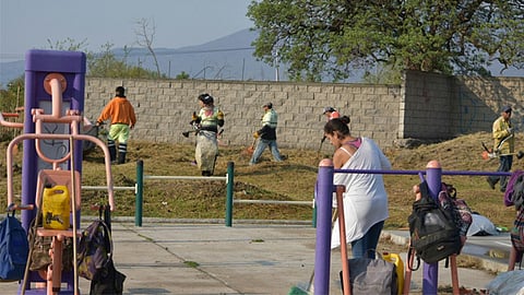 Quitaron la maleza y dieron mantenimiento a las lámparas (Foto. Cortesía)