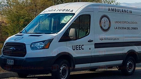La niña cayó cuando la camioneta pasó un tope (Foto Ilustrativa)
