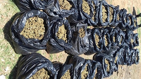 La droga se encontraba distribuida en 30 costales y 64 bolsas
(Foto: Cortesía)
