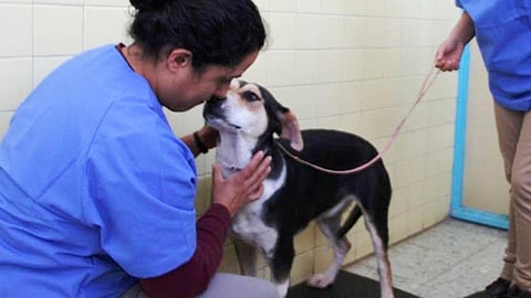 Será el cuarto municipio del estado que cuente con esta infraestructura (Foto: Cortesía)