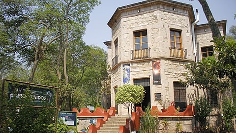 El Museo de Historia Natural muestra una colección de zoología, botánica y fósiles (Foto: ACG)