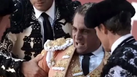 Sobre el hecho hay posturas encontradas entre los fanáticos y los defensores de animales (Fotograma: YouTube)