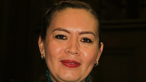 La legisladora del PRI pidió al Ejecutivo mayor información al respecto (Foto: ACG)