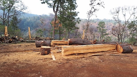 Hasta el momento no se ha firmado ningún convenio con ninguna organización, productores o sus representantes, aclararon (Foto: Cortesía)