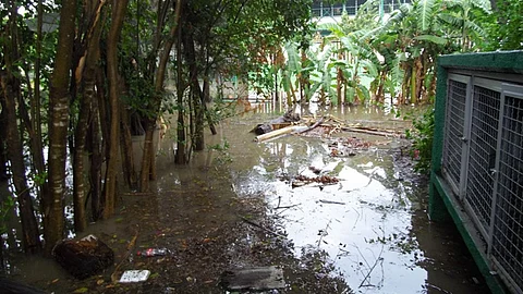(Foto: ACG)