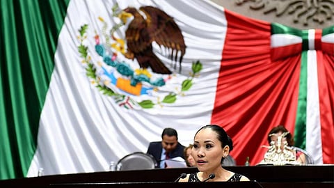 Presentó un punto de acuerdo que exhorta a los congresos locales a adecuar sus leyes (Foto cortesía)