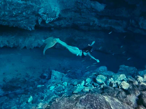 Las sirenas en México sí existen