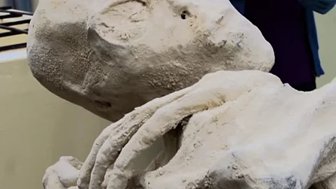 Aunque nada ha sido confirmado por estudios, el cuerpo inerte podría ser “no humano” (Fotograma: YouTube)