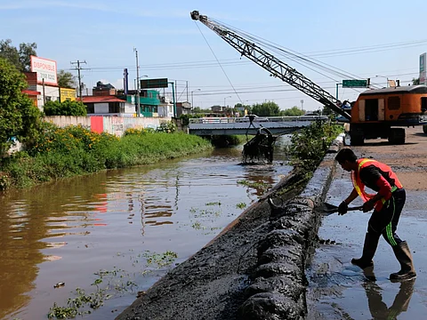 Autoridades señalaron que ya se aplica el protocolo de limpieza en las colonias afectadas (Foto: ACG)