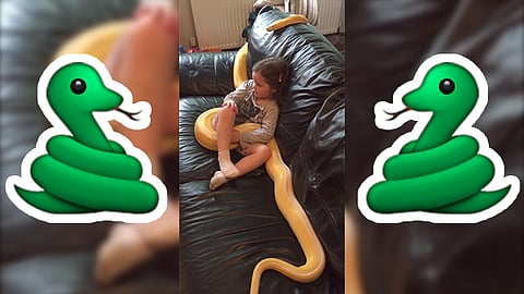 La víbora disfruta de la compañía de su humano (Foto: Youtube.com)