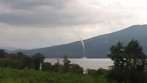 Fue vista aproximadamente a las cinco de la tarde (Foto cortesía: Quetzal Navarro)