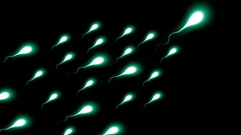 Los especialistas señalan que la población podría caer en un problema de fertilidad (Foto: Pixabay)