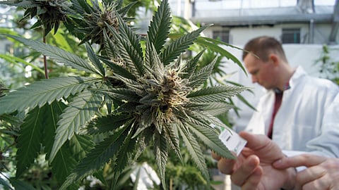 Este medicamento se importa desde Estados Unidos (Foto: besynchro.com)
