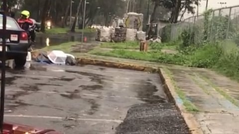 Estaban amarrados con alambre y embolsados (Fotograma: Mundo Patitas)