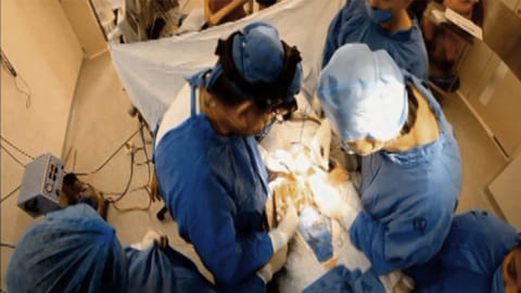 Aplicó la PGJE protocolo para donación multiorgánica (Foto cortesía)