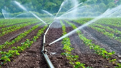 Los productos agropecuarios son los que más elevaron su costo (Foto: Cortesía)