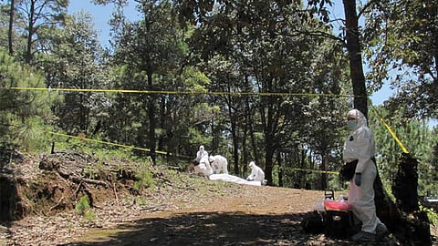 El occiso yacía en una zona boscosa y estaba en proceso de descomposición