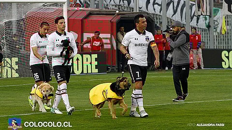 Todos los jugadores fueron acompañados por el mejor amigo del hombre (Foto: Facebook.com/colocolo