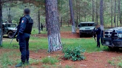 Fueron instalados puestos de control y vigilancia (Foto: Cortesía)