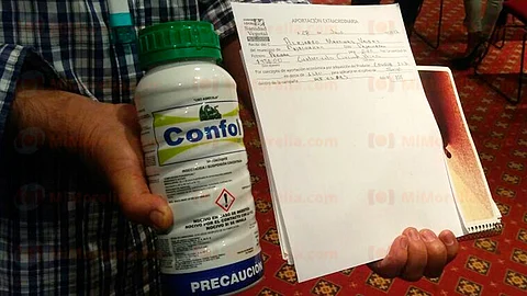 Únicamente la miel que es para exportación está libre de pesticidas como es el neonicotinoide (Foto: Alma Martínez)