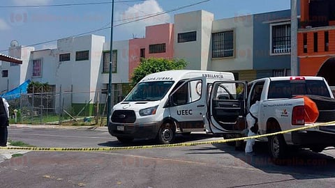 La mujer fue asesinada en su domicilio, según información preliminar