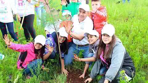 Desde que en 2016 se puso en marcha la campaña, se han efectuado reforestaciones en más de 18 municipios (Foto: Cortesía)