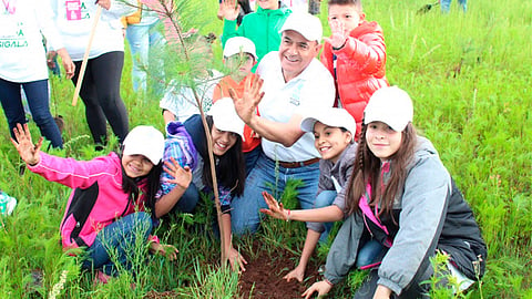 Desde que en 2016 se puso en marcha la campaña, se han efectuado reforestaciones en más de 18 municipios (Foto: Cortesía)