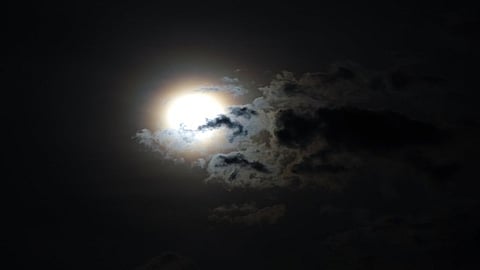El eclipse solar del 8 de abril próximo se podrá ver desde México en estos municipios