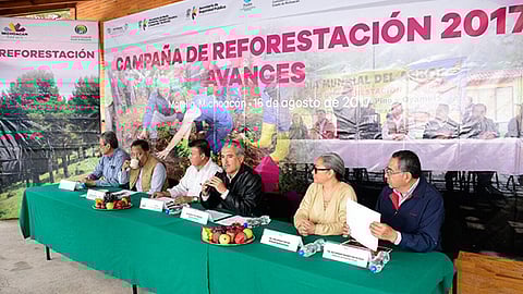 Michoacán es el principal estado de la República Mexicana que cuenta con las mejores condiciones de suelo para la producción (Foto: Cortesía)