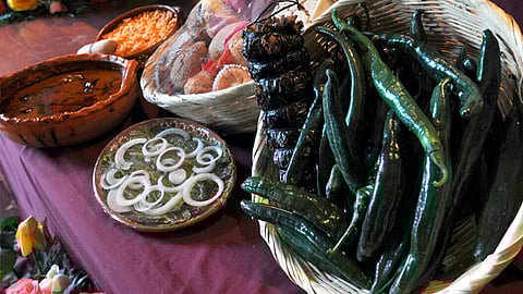 La producción de chile en  2016 fue de 35 toneladas (Foto: ACG)