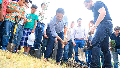 Plantarán 20 mil árboles (Foto cortesía)