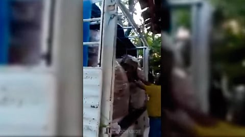 Los vecinos han declarado que esconden estos víveres para comprar los votos (Foto: captura de pantalla)