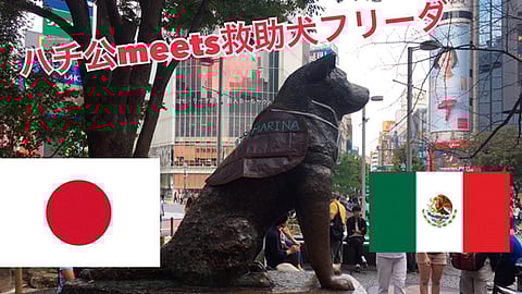 Los brigadistas japoneses trabajaron en los rescates del Multifamiliar de Tlalpan (Foto: @WorldMeetsJapan)