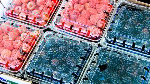 Buscan a los productores para que se regularicen (Foto: Cortesía)