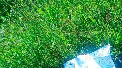 Peregrinos se topan con tres cuerpos desmembrados, en Michoacán