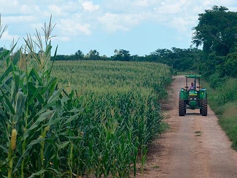 Aumenta PIB del sector primario de México 12.4%