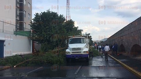 El hecho fue durante la tarde de este martes