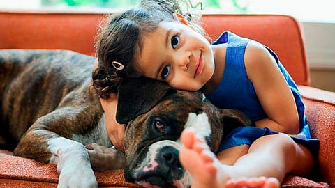 La presencia de un perro tendría un efecto positivo en los menores (Foto:nwboxerrescue.org)