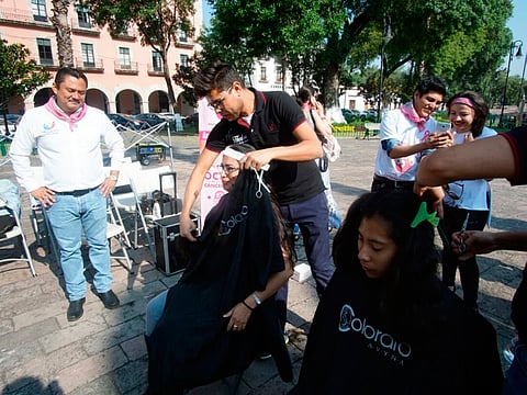 (Foto: ACG)