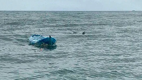 Su hijo Mitch arrastró a su hermana por encima de la espalda del tiburón (Foto: Shark Watch South Australia)