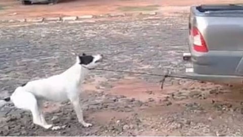 (Foto: @GENPRECANEWS)